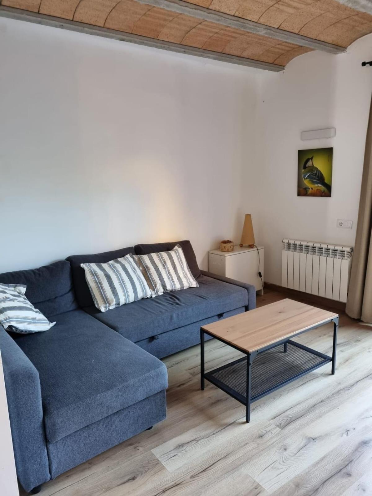 El Niu Dels Ocells Apartment Sant Joan de les Abadesses Exterior photo